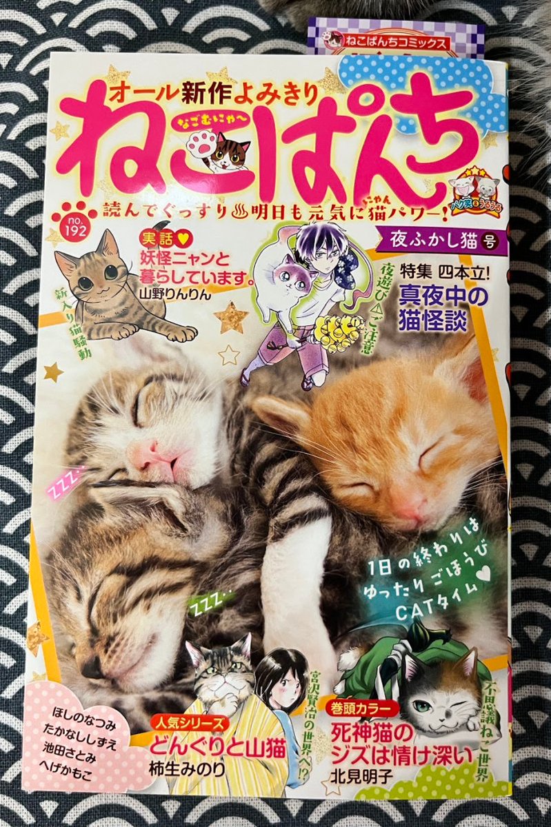 【宣伝】少年画報社さん「ねこぱんち」発売中🐈
実話漫画「妖怪ニャンと暮らしています。」8p掲載されています🐈表紙にも小さいカット描かせていただきました🐈
以前描いた「妖怪ニャン」の続きで今回は三回連載です。悪性貧血が改善されて来たねねこちゃんのその後のお話です。よろしくです~❗