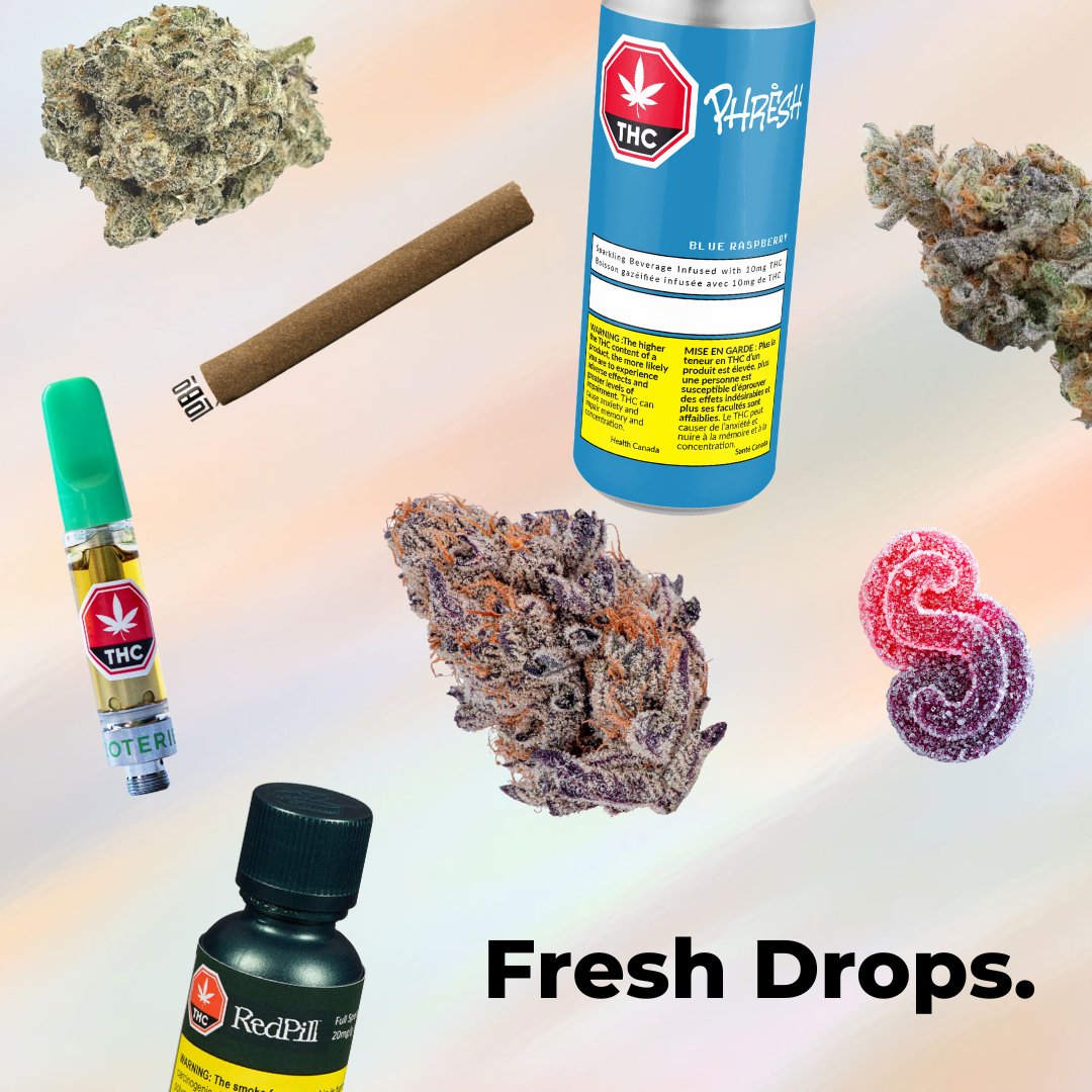 rolldcannabisco's tweet photo. Don't forget to check out our Fresh Drops section every week to see all the new and interesting items we have brought in for you!
🔥
https://t.co/Qn9FcfIDop
🔥

#ottawa #kanata #stittsville #nepean #barrhaven #cannabis #ontariocannabis #CannabisCommunity https://t.co/YmJEsAnKzt