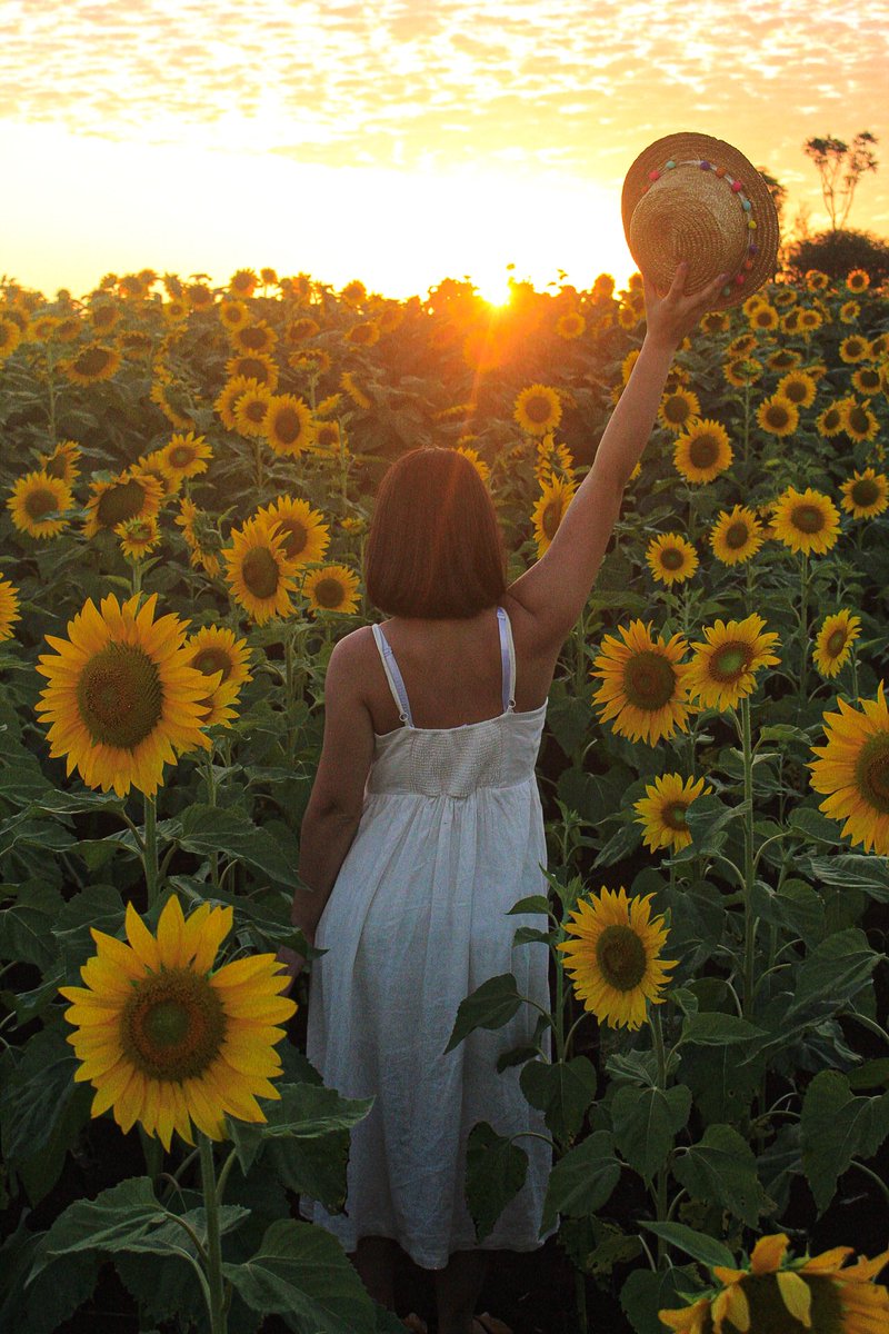 ral_acua's tweet photo. ¡Oficialmente arranco la temporada de girasoles en Paraguay! 😍🌻🇵🇾

¿Te gustaría visitar y hacer fotos increíbles ahí? 👀✨ https://t.co/H8WxQ9LsYZ