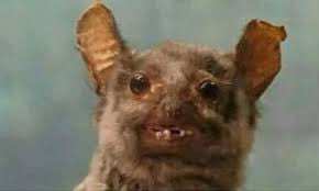 LoCommis's tweet photo. My toxic trait is airdropping this photo to people on airplanes. https://t.co/5b7yggdY0I