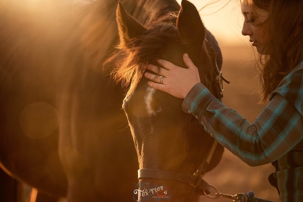cowboymagic's tweet photo. ❤️True Love Tuesday❤️
 Photo by @foxtrotequine
Share your True Love pics with us!

"You can learn a lot about a relationship based on the touch that's shared."

#cowboymagic #equine #equinesofig #equinephotos #horsephotos #horselife #ilovehorses #horseso… https://t.co/fvwkXK6573 https://t.co/NJJDsZDBBa
