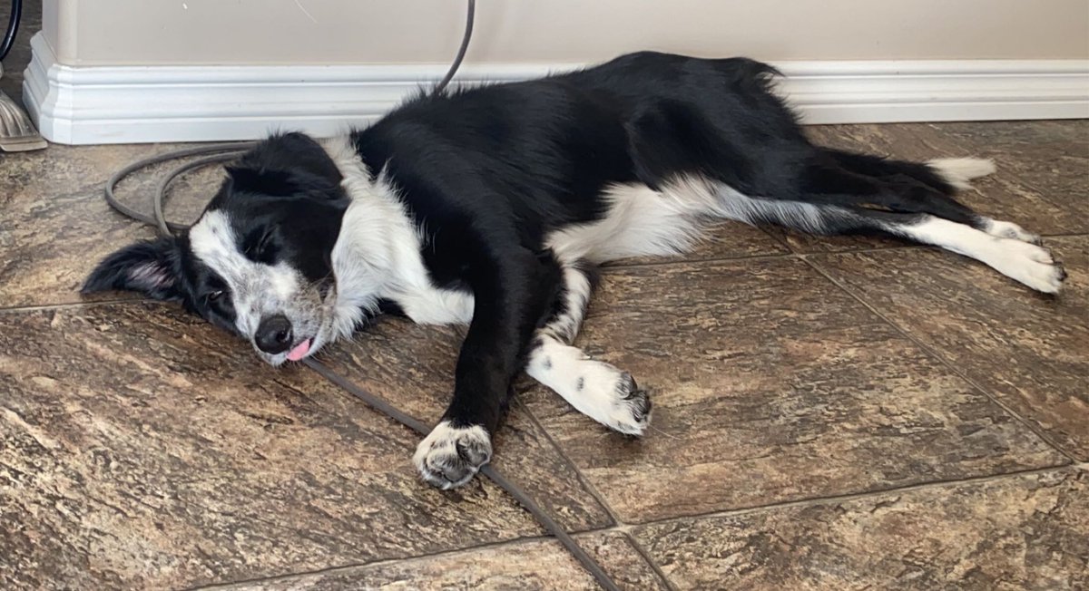 How I feel after a hot day of scouting fields 😅🌾