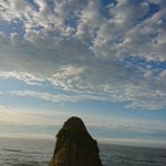 ツイートに含まれる画像