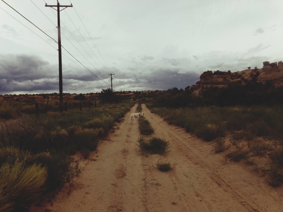 Triniabell1's tweet photo. My hike today
Our travels across America by Triniabell Photography
Today Kanati and I hiked more of the Bloomfield Badlands. Completely brilliant. #ourtravelsacrossamerica #photography #travel #life #adventure #hiking #badlands #bloomfeild https://t.co/K3mFdzI2Xc