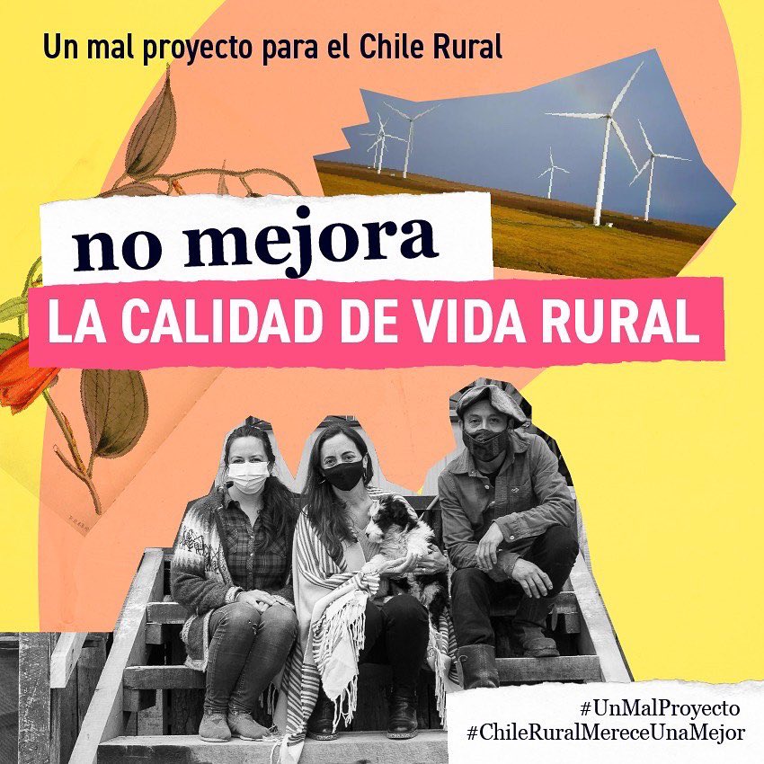 meryundurraga's tweet photo. Todos queremos un cambio. Desde el mundo rural queremos que se mejore la vida de nuestras familias, pero con una mirada sostenible. La Nueva Constitución es #UnMalProyecto, no da lo mismo lo que hagas el 4 de septiembre.
 
#ChileRuralMereceUnaMejor
 
https://t.co/JgSfgI9RO5 https://t.co/cFXzsJfoKZ