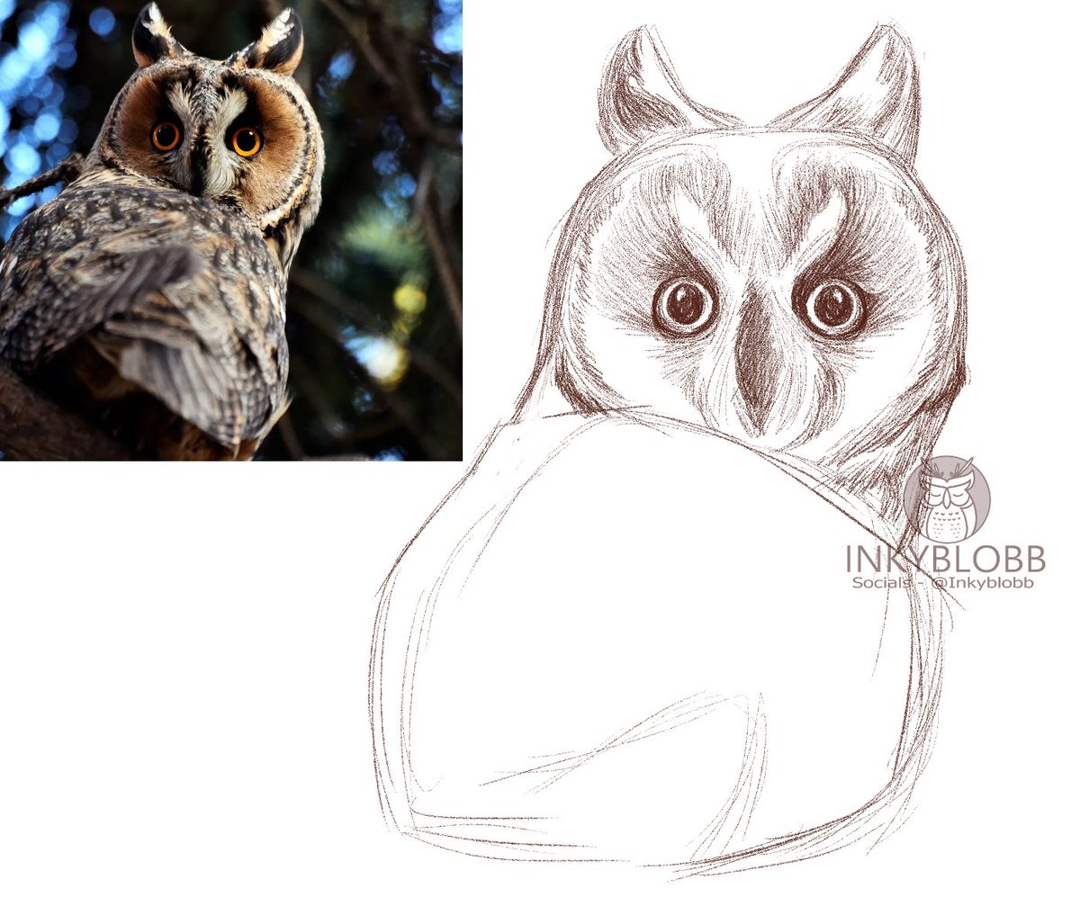 Troutelou's tweet photo. Little owl study 🦉
#sketch #art #owl #bird #owldrawing #owlsketch #digitalart #clipstudiopaint #artistsontwitter #artist https://t.co/80NJDxLdL0