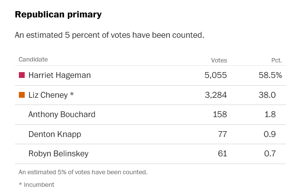 GlenWoodfin's tweet photo. .@RepLizCheney falls further and further behind with each ballot dump. #LizardCheney https://t.co/tS6Vxtc338