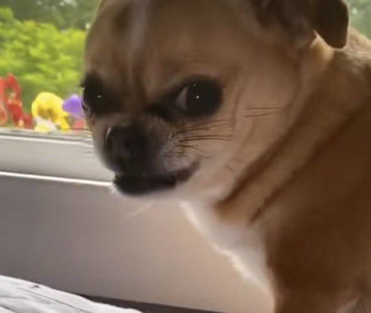ComingForxYou's tweet photo. I’ll never forgive Isaiah for bringing Phoebe to this villa  #loveislandusa https://t.co/3MYJCe6s4k