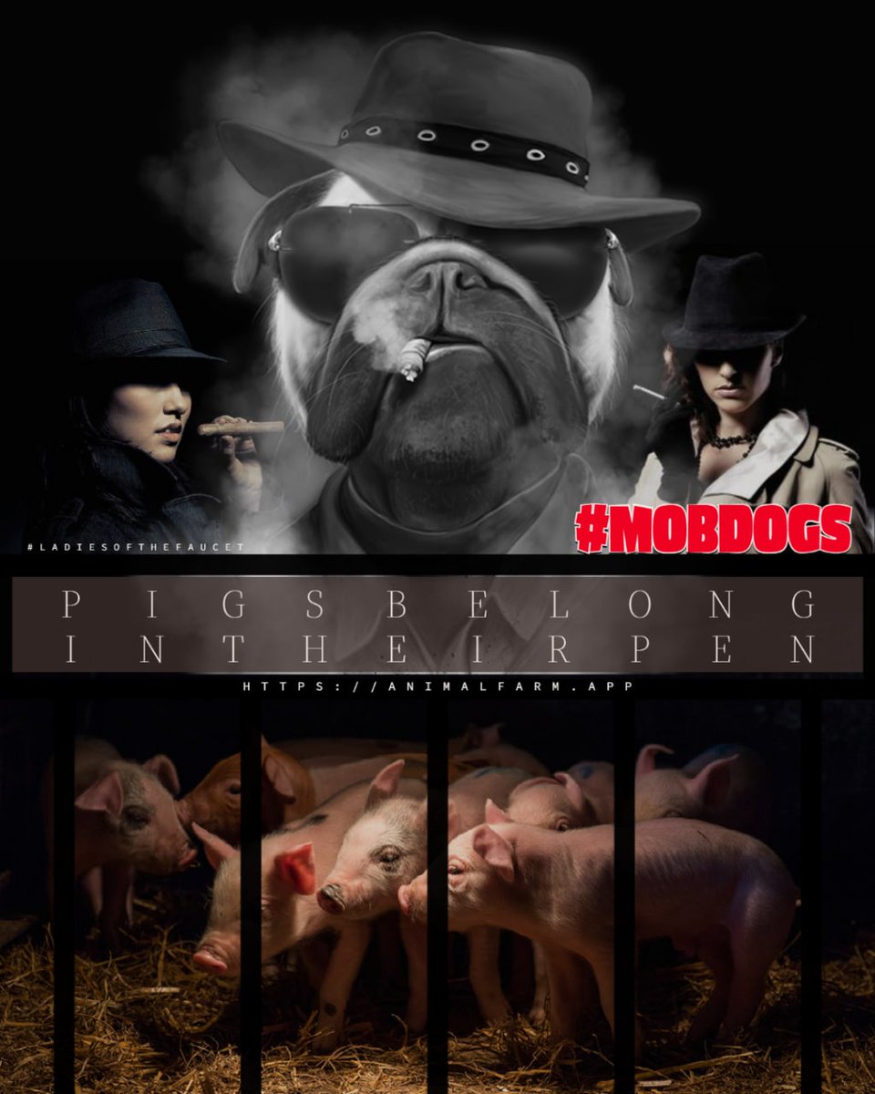 ants__girl's tweet photo. My submission for #mobdogs
#ladiesofthefaucet #dripisKing #wearetheQueens https://t.co/BiP2UhK9jl