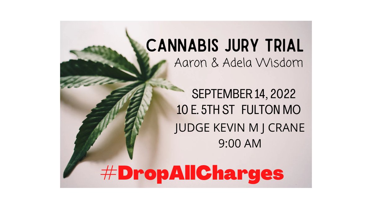 Adela Wisdom (@adelawisdom) on Twitter photo 