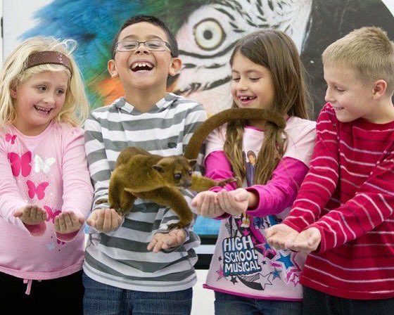 Wildlife Encounters tweet media