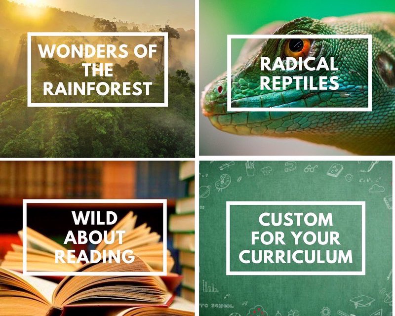 Wildlife Encounters tweet media