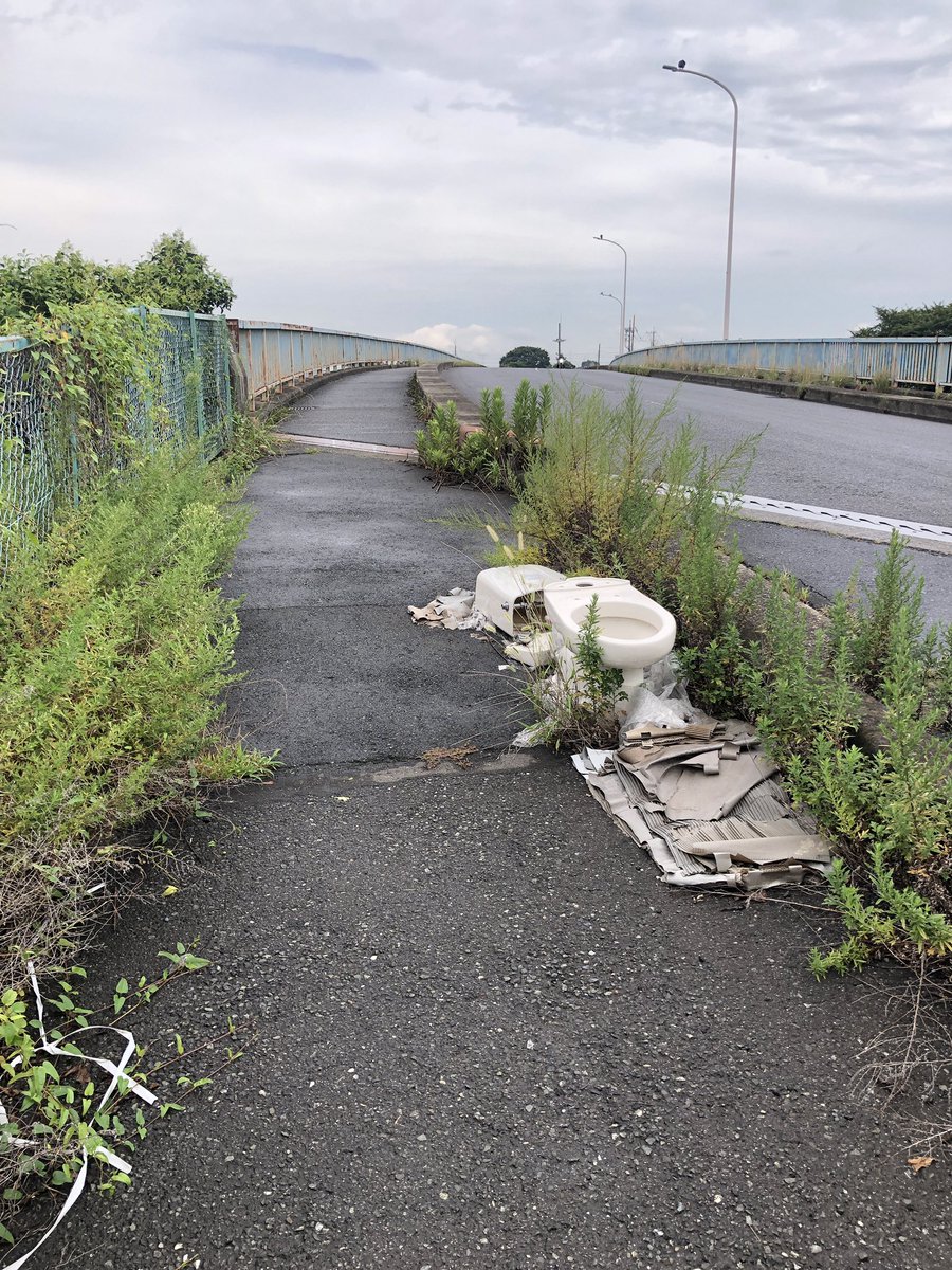 もじゃD@休止中 tweet media