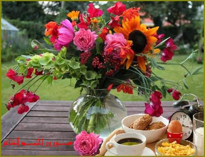 دعاء الفجر  :
" اللهم اجبر خاطري جبر أنت وليه
  ربي أشرح صدري وأرح قلبي وأزح من قلبي كل خوف يسكنني وكل ضعف يكسرني وكل أمر يبكيني ولا تفجعني في مستقبلي ولا في نفسي ولا في باقي أهلي ولا تعسر أمري وأفتح لي أبوابي المغلقه 
وصل اللهم علي سيدنا محمد وعلي اله وصحبه وسلم❤️