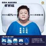 マツコが宣伝する西川のギガ枕!買ったものの、飼い猫に占領されてしまう…。