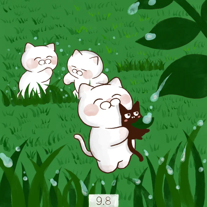 9月8日【白露】二十四気の一つ。夜間に大気が冷えてきて草花に朝露が宿るころ。この日から秋分前日までの期間。 