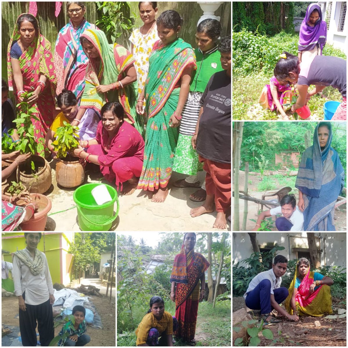 JajpurDcpu's tweet photo. #HarGharTiranga #AzadiKaAmritMahotsav  #OSCPS_75thInd_Odisha
Plantation activities carried out by children and inmates of child care institutions,Swadhar Homes and AWCs of Jajpur District in commomeration of 76 Independence Day and celebration of Azadika Amrit Mahotsav. https://t.co/bJu8X1vfS5
