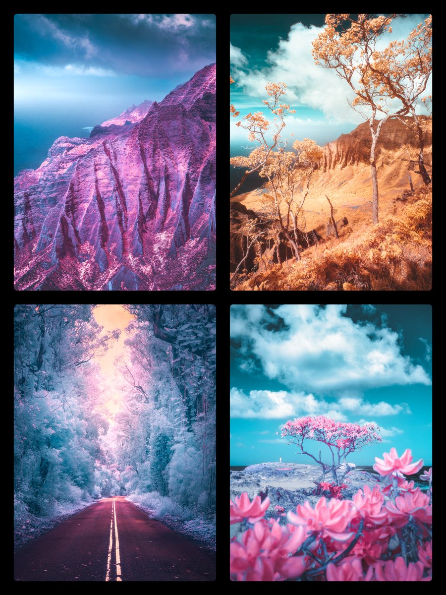 Calibreus_'s tweet photo. Very excited for this edition drop with @NiftyRoyale tomorrow! 3 editions of 10 with a 1/1 raffled off to one random holder!

This drop is entitled "Tropical Spectrums" and features some of my favorite infrared shots from my recent Hawaii trip. 🌺 https://t.co/81H7Zyyw4n