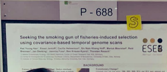 Kwiii_Han's tweet photo. Ok... I got everything wrong in my last tweet... 🤦🏻‍♀️😅I should be presenting on Thursday! At board#688 Keywords: Fisheries induced evolution, temporal population genomics, Atlantic cod, temporal covariance 🥳🥨🥳🍺🍷#ESEB2022 https://t.co/4o9KLnvjV0