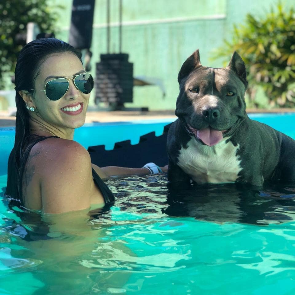 gi_zortea's tweet photo. Hoje foi um dia triste, acordei com msg que Rondinha se foi nessa manhã...😓💔 Obrigada por todo amor, amizade e momentos felizes filhota, te amamos pra sempre! #ripronda #amstaff https://t.co/KTDerLwdrJ