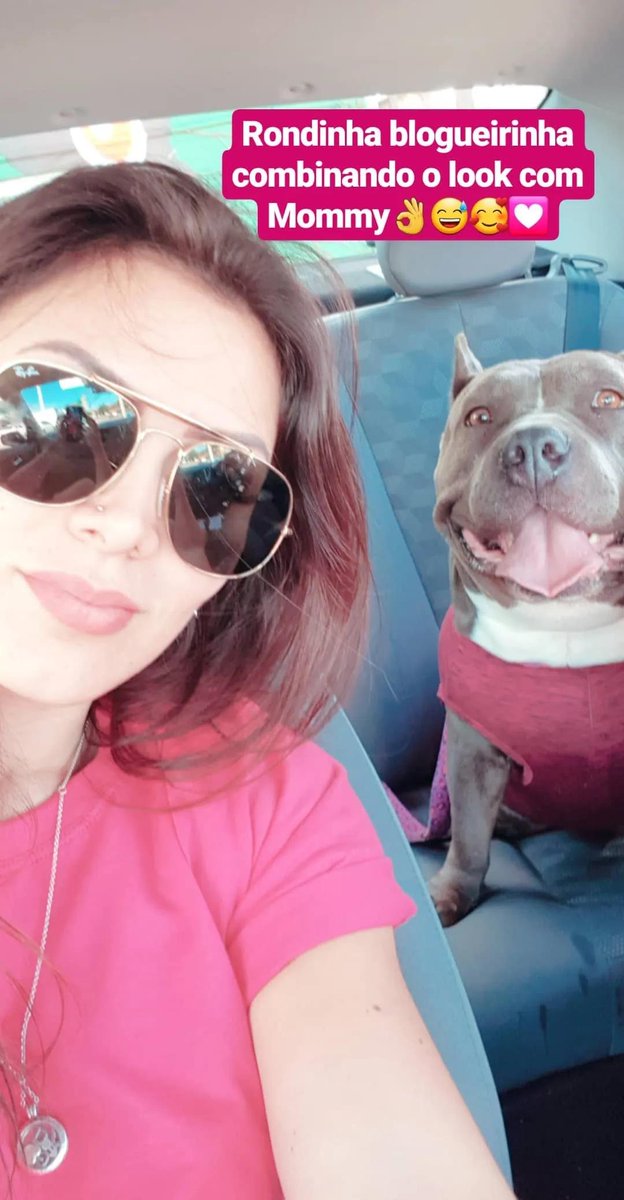 gi_zortea's tweet photo. Hoje foi um dia triste, acordei com msg que Rondinha se foi nessa manhã...😓💔 Obrigada por todo amor, amizade e momentos felizes filhota, te amamos pra sempre! #ripronda #amstaff https://t.co/KTDerLwdrJ