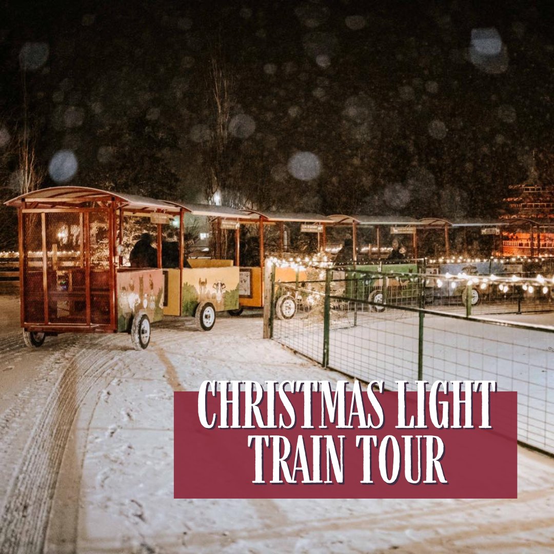 GardensGrotto's tweet photo. If you haven’t made it out to Grotto Gardens yet, don’t worry. We have family fun activities all Fall and Winter!
🎃 - Take a ride on our pumpkin train
👻 - Experience our Haunted Farm
🎄- Tour our Christmas light displays on the farm train
🎁 - Do some Christmas shopping
&amp; more! https://t.co/2zT0EozX80