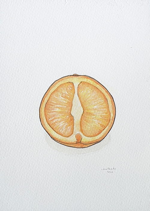HeavyFlowArt's tweet photo. New artwork for sale! - "the orange" - https://t.co/iqR4cw3Hek @fineartamerica https://t.co/ttgEbdkW9n