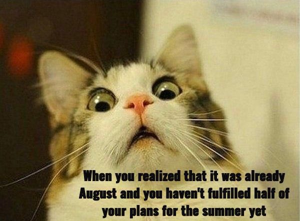 😂😂
<a href="/FoxBoy27854030/">Maks$ | Memelend</a> 
 @memeland <a href="/9gagceo/">9GAGCEO</a> <a href="/GhostLuu/">Luu❤️MemeCoin</a> <a href="/bananamilkhin/">BANANAMILKHIN ❤️ Memeland</a> @ladyotaku_d <a href="/on9eth/">on9.eth | j🥔rd🥔n</a>  <a href="/keung/">Keungz</a> <a href="/titikmulainft/">titikmulai</a>  <a href="/NikkalKundhal1/">Nick</a> #memeland <a href="/RoblichtNFT/">🍊RobLicht</a> <a href="/HDshoq/">HEYVE (❖,❖)🦋</a> <a href="/0xLolita/">0x Lolita</a> <a href="/juanxtang/">juanXtang</a> <a href="/androgenc2073/">Androgenc #2073</a>