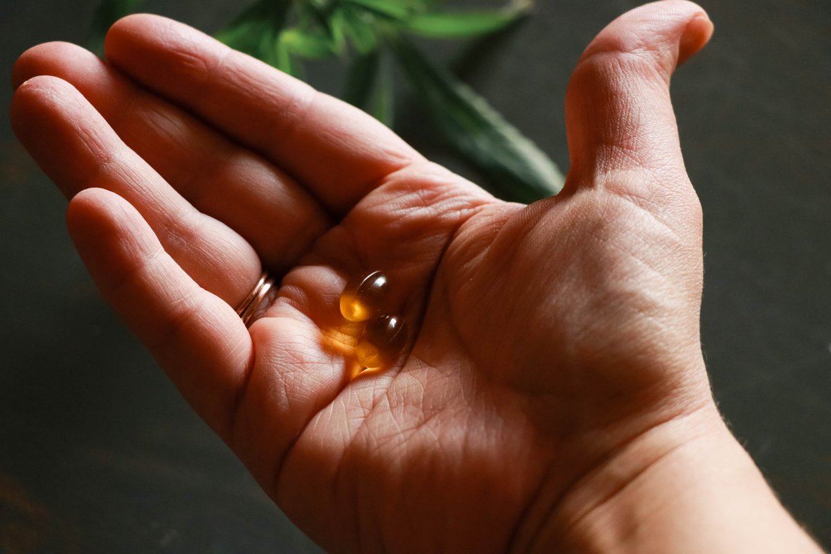 Looking for Ovis softgels? Explore our growing list of retail partners and add a daily dose of wellness to your evening or daytime routine. #albertacannabis ovis-health.ca/where-to-buy