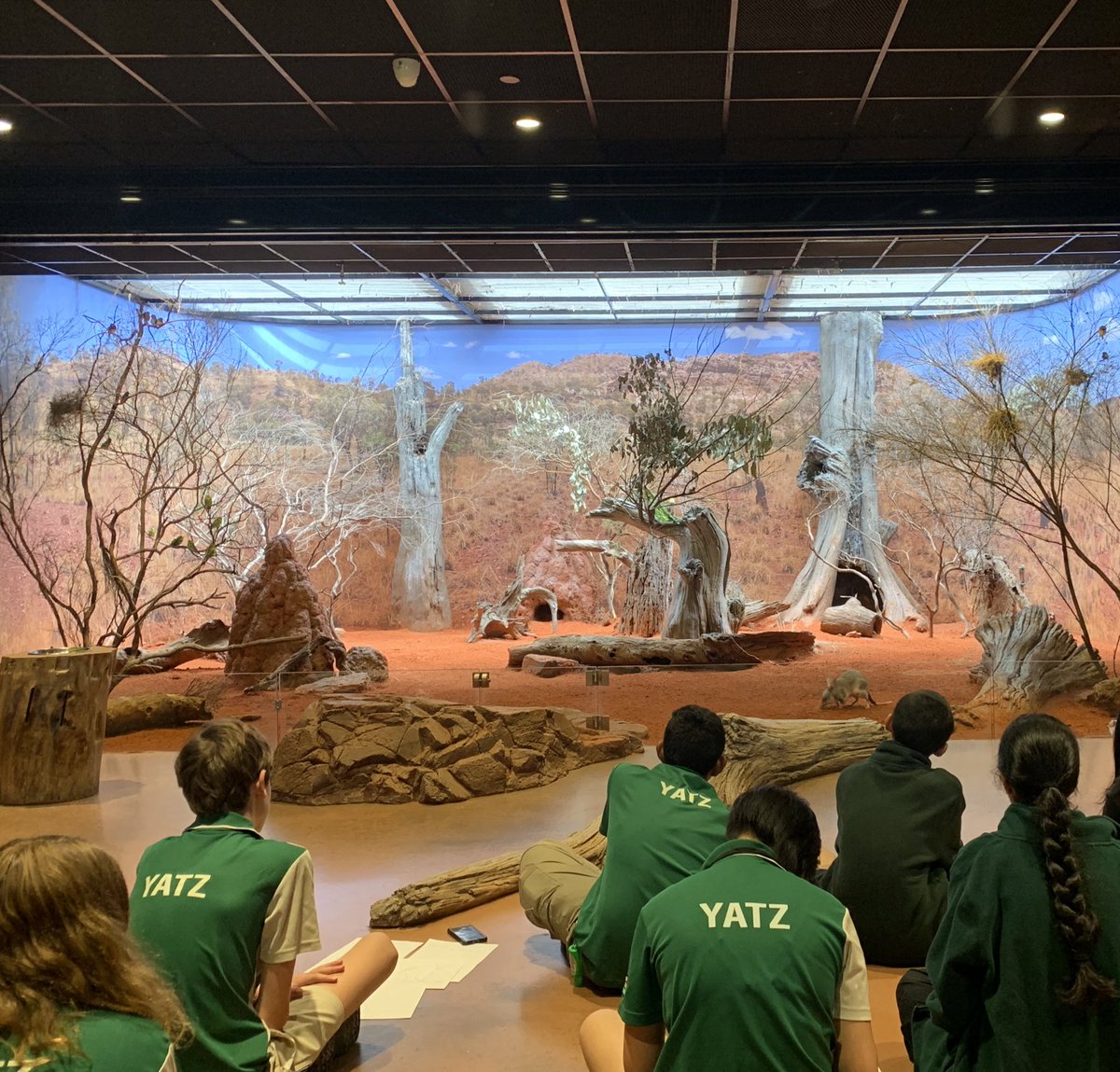 Learning By Doing tweet media