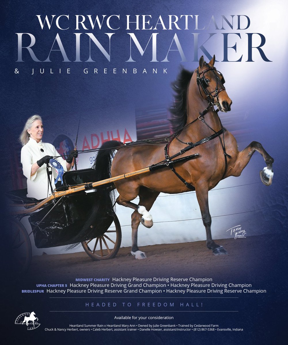 TNH1865's tweet photo. #nationalhorseman #worldschampionship #midwestcharity #uphachapter5 #bridlespur #juliegreenbank #cedarwoodfarm #hackneypleasuredriving #saddlebred https://t.co/D3plnTWv8C