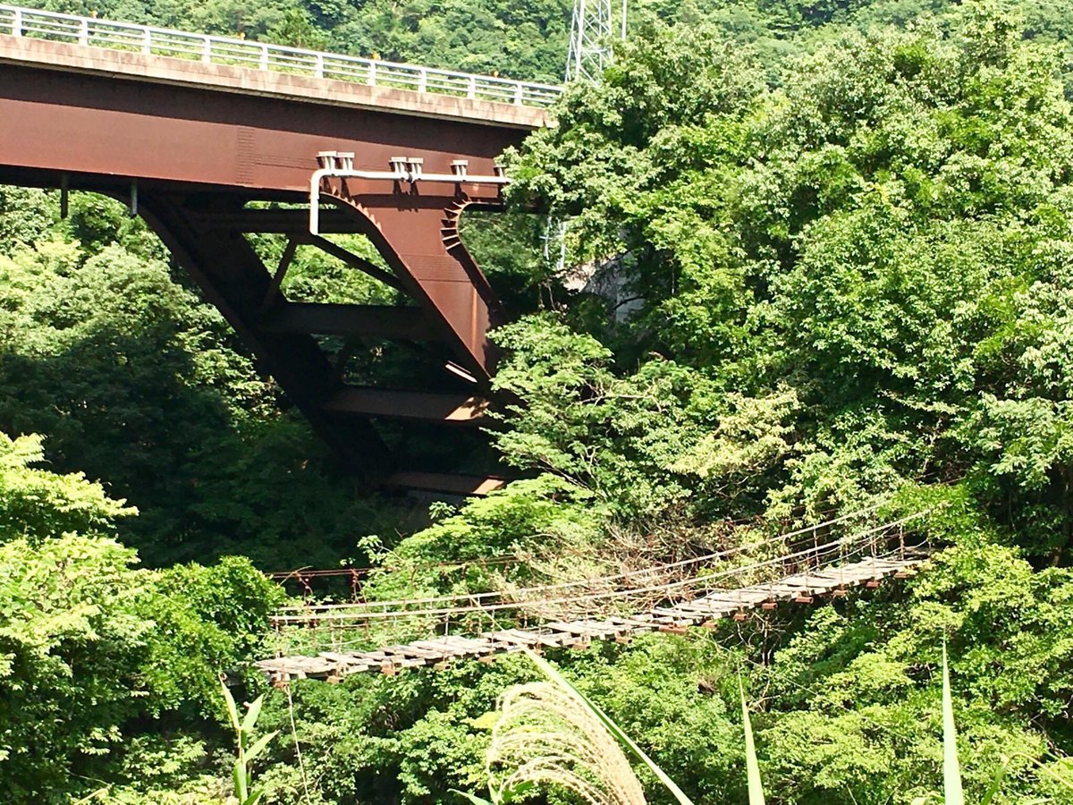山歩き
今日は一日雨で中止