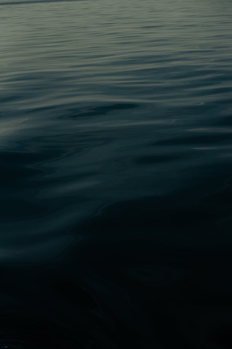 Fotofools 📸 tweet media