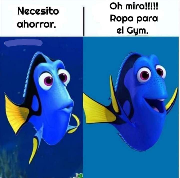 Lorena Balladares tweet media