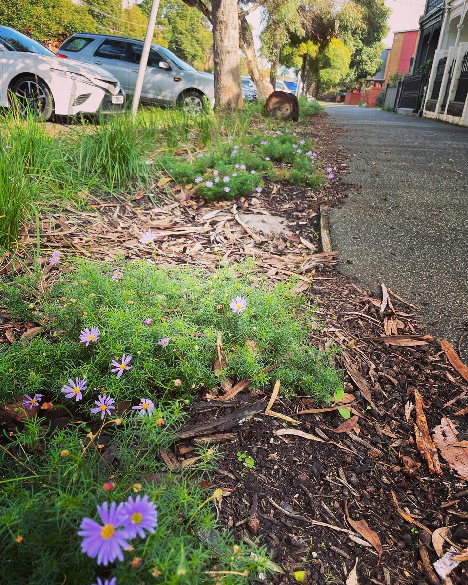 Dr. Kylie Soanes tweet media