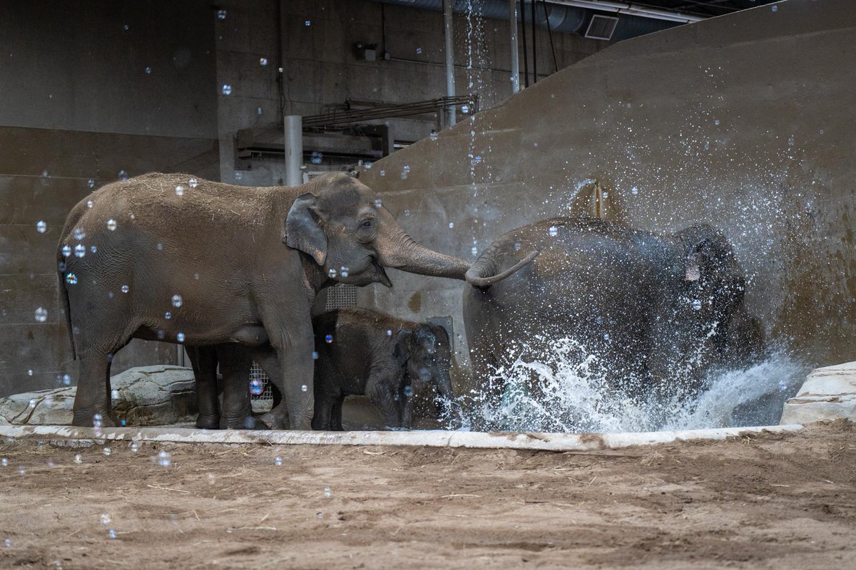 ColumbusZoo tweet picture