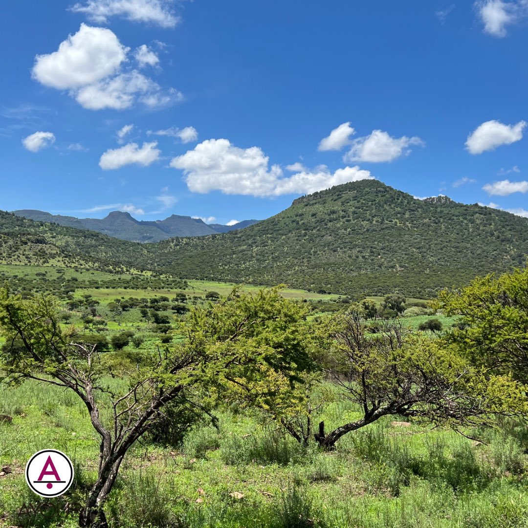 BEecotourism's tweet photo. Viajando por México me encontré @jlayoub: 'TURISMO | ⛰ Recargando batería con un cielo maravilloso en Durango. No dejen de visitarlo.
#durango #durangomexico #durangomx #viaje #viajesinolvidables #viajesyturismo #viaje… https://t.co/2g5lstwQYq, see more https://t.co/Z6TwVHgouw