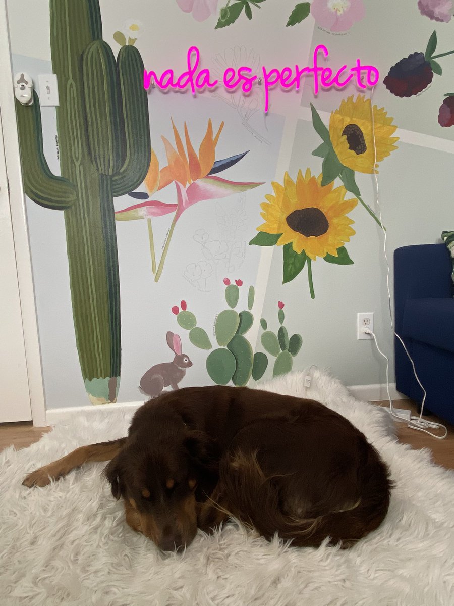 notFromShrek's tweet image. Last day is done… I miss everyone already, but it’s time for some r&amp;amp;r. #TwitterBoulder #LoveWhereYouWorked