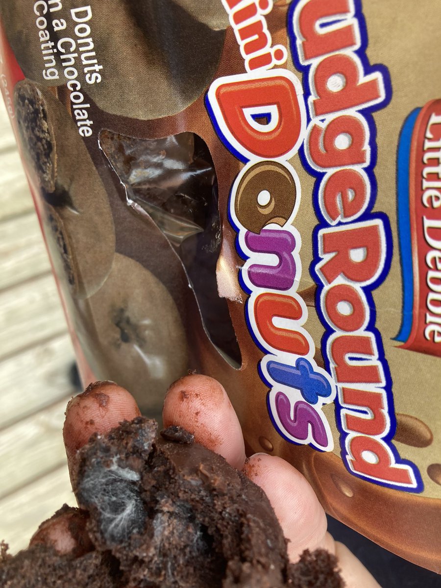 Domos_Dad's tweet photo. @LittleDebbie why do your fudge round doughnuts have a spiderweb (or maybe mold?) in them? 2 bags both the same https://t.co/payDk3AjXY