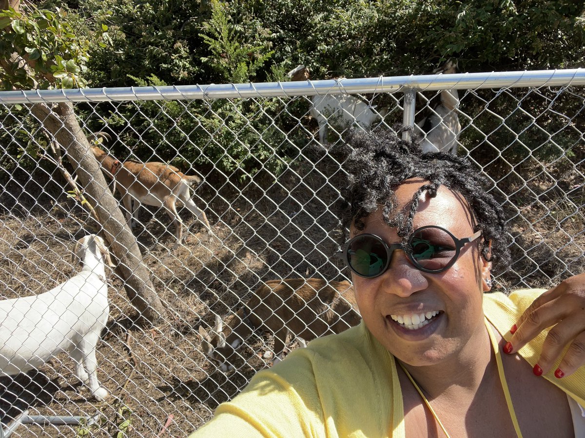 I live SF and just a block from me are the goats! So excited the Goats are back <a href="/usfca/">University of San Francisco</a> <a href="/CityGrazing/">City Grazing</a>