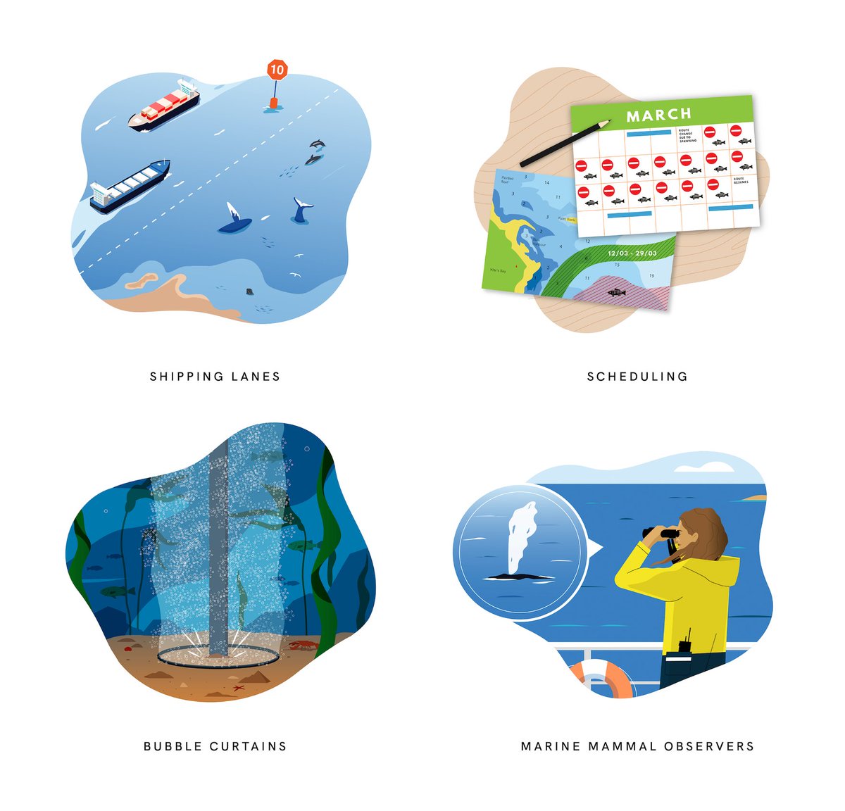 Emily Hague 🚢🐳🐬 (@emilyhague) on Twitter photo If you haven't already, go check out Amy's wonderful illustrations at amydozier.com 🎨📖✍️🦞🐳🌿 So many marvellous marine related illustrations and graphics! 😍 supporting many projects, including <a href="/jonas_project/">JONAS</a> <a href="/ecostructure_/">ECOSTRUCTURE</a> <a href="/Clim2Power/">Clim2Power</a> <a href="/Saturn_H2020/">SATURN Project</a> 🤩🎨 If you haven't already, go check out Amy's wonderful illustrations at amydozier.com 🎨📖✍️🦞🐳🌿 So many marvellous marine related illustrations and graphics! 😍 supporting many projects, including <a href="/jonas_project/">JONAS</a> <a href="/ecostructure_/">ECOSTRUCTURE</a> <a href="/Clim2Power/">Clim2Power</a> <a href="/Saturn_H2020/">SATURN Project</a> 🤩🎨