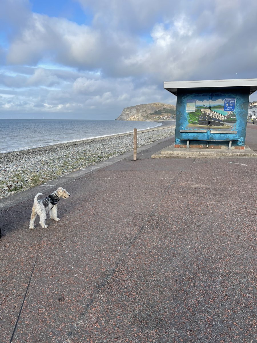 Coopers walk tonight #llandudno #staycation #milvertonhouse #beachlife