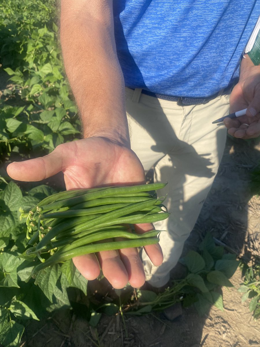 Jennifer Thompson, CCA-ON tweet media