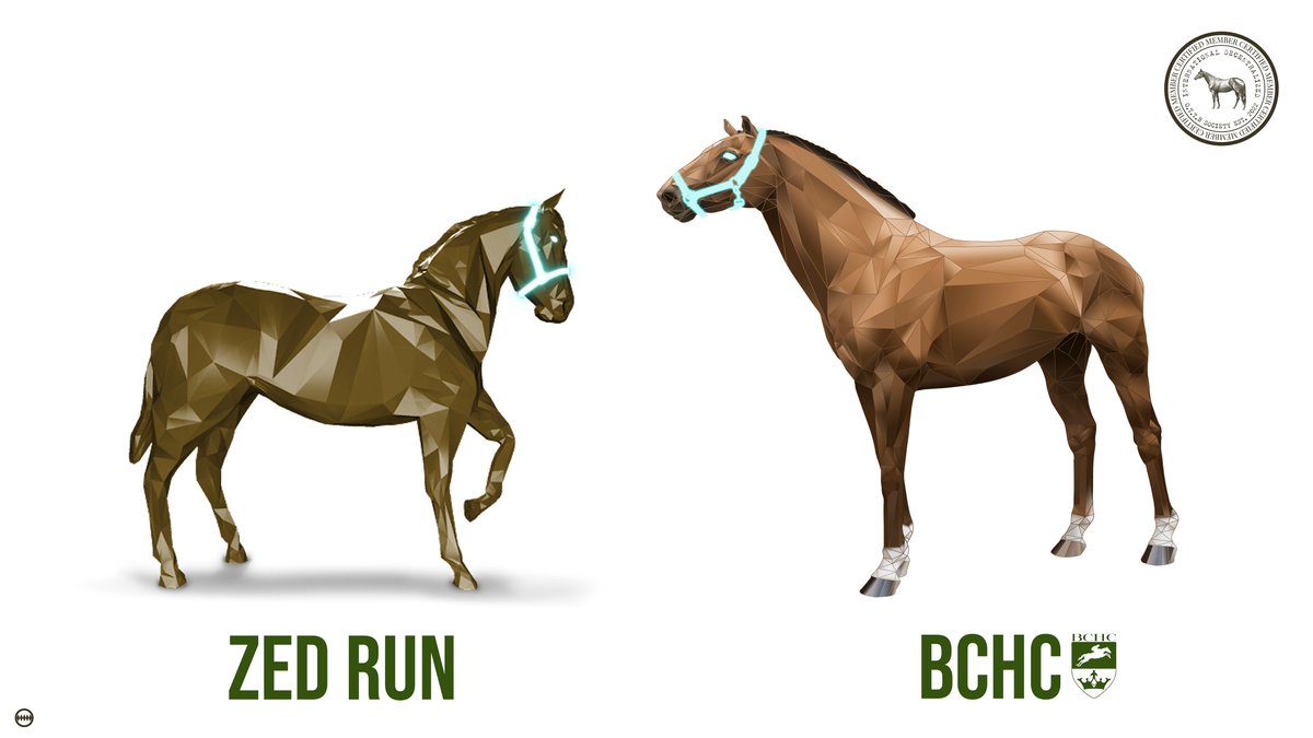 BCHC_HorseClub's tweet photo. This is a useful tool for comparing @zed_run race horses;
https://t.co/wQ9DDc5jO1 https://t.co/RezKPV2gj8