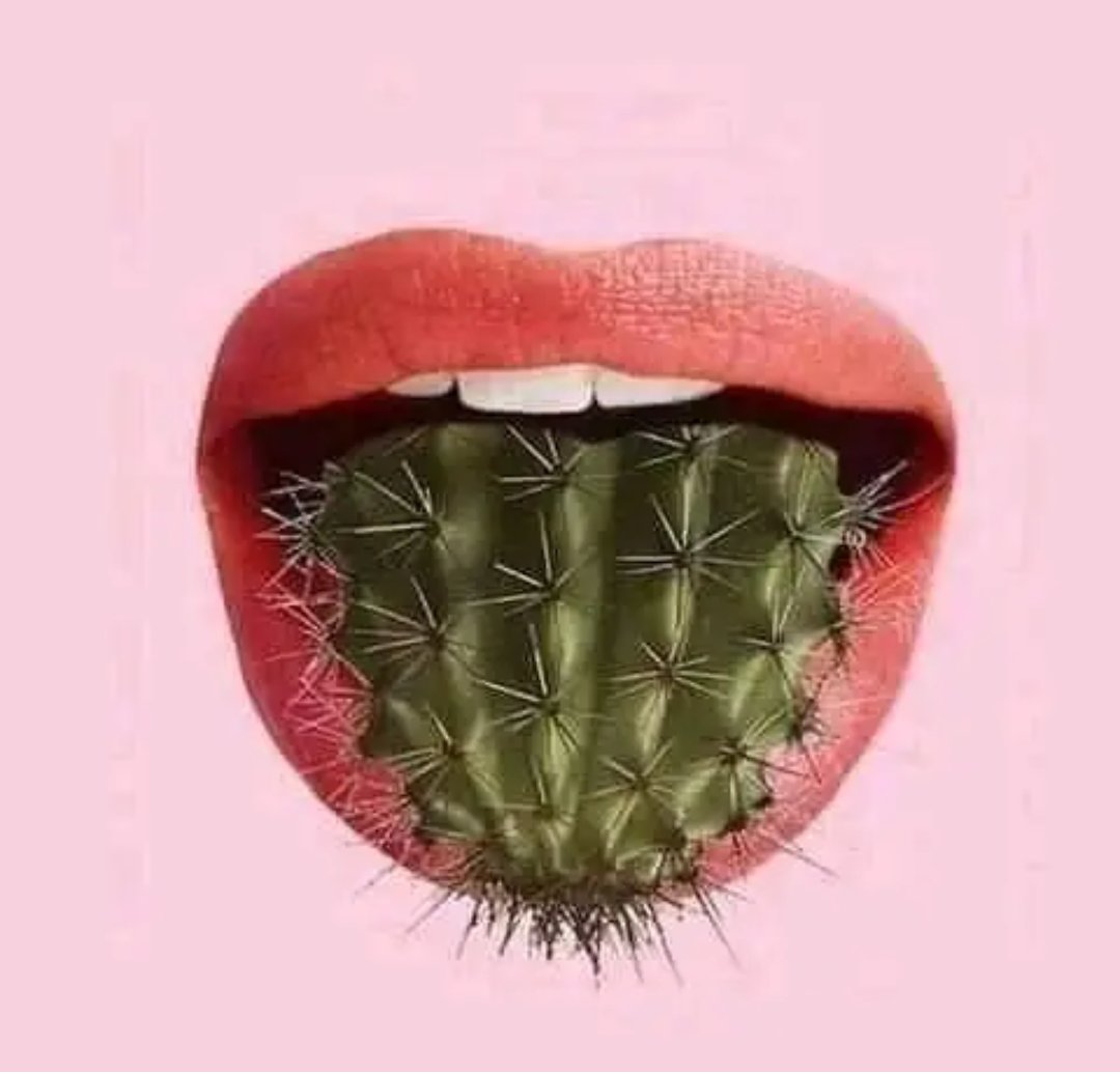 #MatanzasNoEstaSola #FuerzaMatanzas
#CubaPorLaPaz #CubaEsAmor
#Cuba <a href="/AvilaEpt/">EPT Ciego de Ávila</a> <a href="/LatirAvileno/">Latir Avileño</a> <a href="/SanchezSuriely/">Suriely Sánchez</a> <a href="/CiegoPortal/">PortalAvileño</a> #CiegoDeÁvila <a href="/ManuelM20298965/">Marin</a>. #CubaPorLaVida