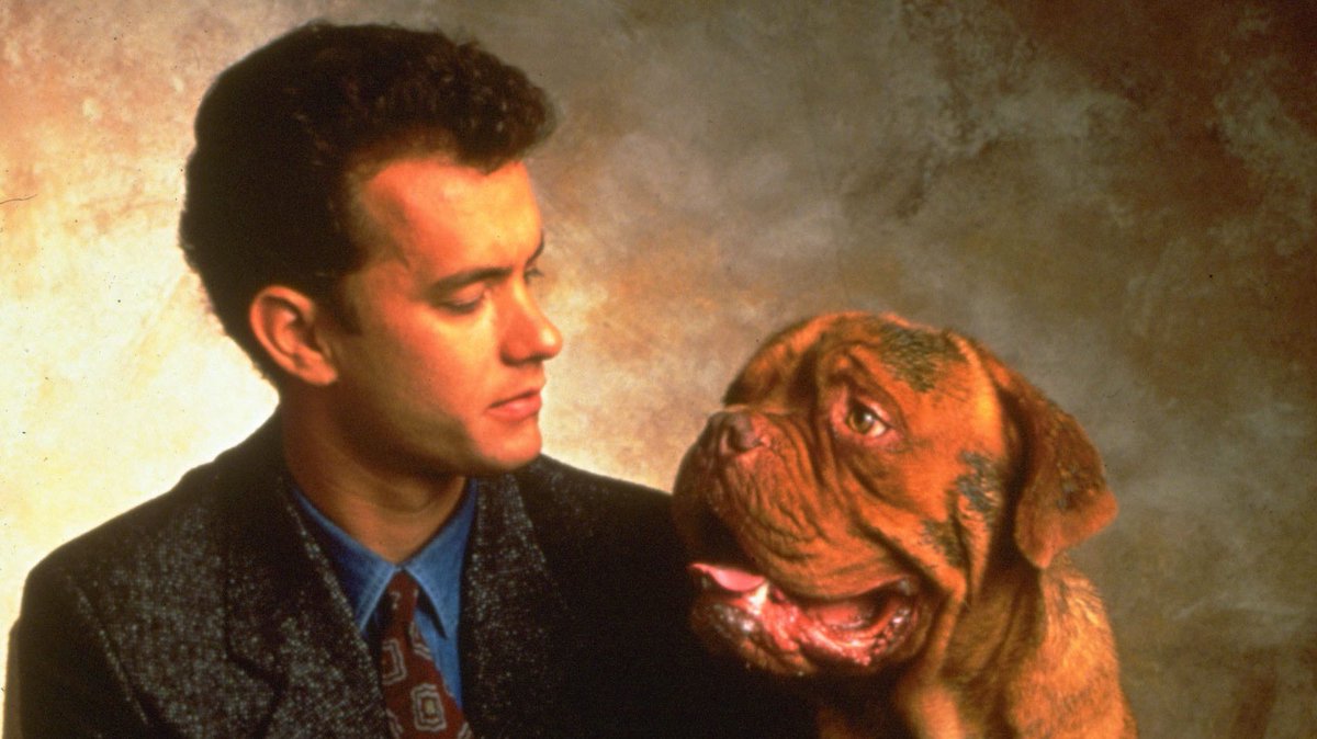 I wishes the crypto humans looked at me the way tom looks at hooch