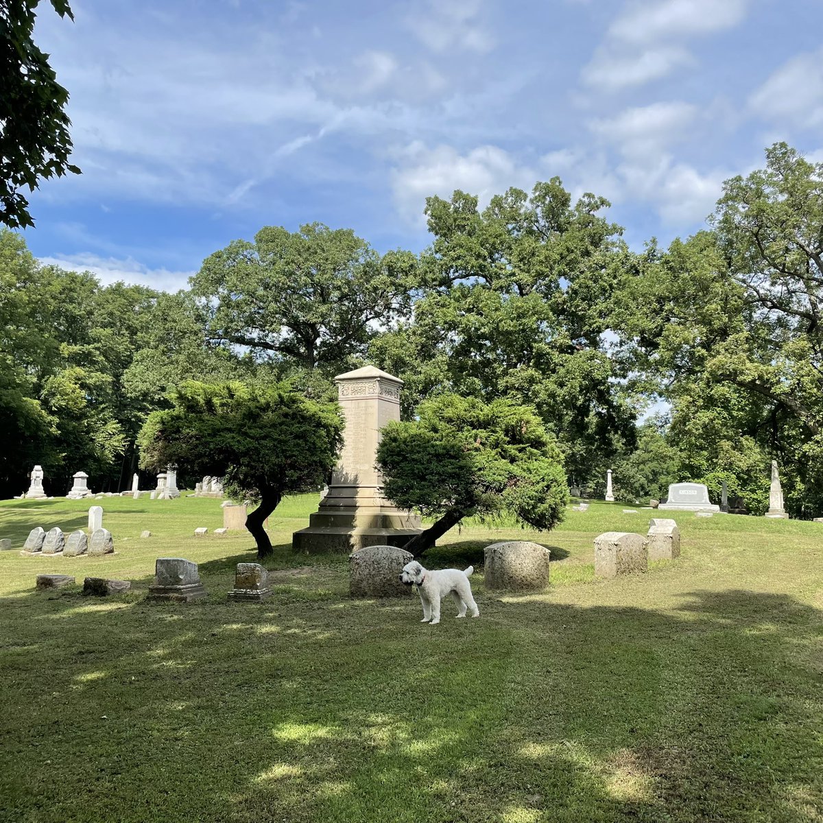 ParanormalHW's tweet photo. @HierophantPara I take my dogs with me when I explore cemeteries because most of the ones I go to are either abandoned, hidden away, or in otherwise unsafe environments. I walk them for a while beforehand so they don’t potty there. If they signal they need to potty we move away from the graves. https://t.co/5t2RxsHpdK