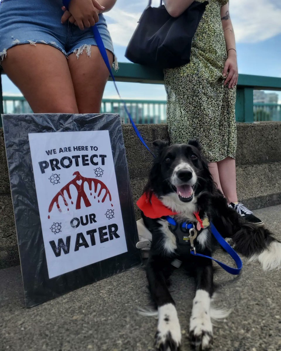 StopFrackingA's tweet photo. We are threatening all life on earth by continuing to frack
#StopFrackingAround https://t.co/fstJ3PP1JK