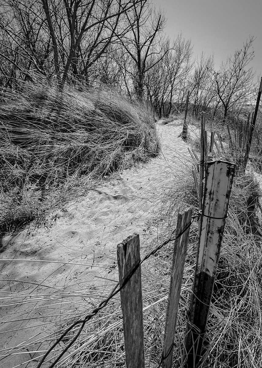 Josh Williams Photography (@seamonkeysammy) on Twitter photo 