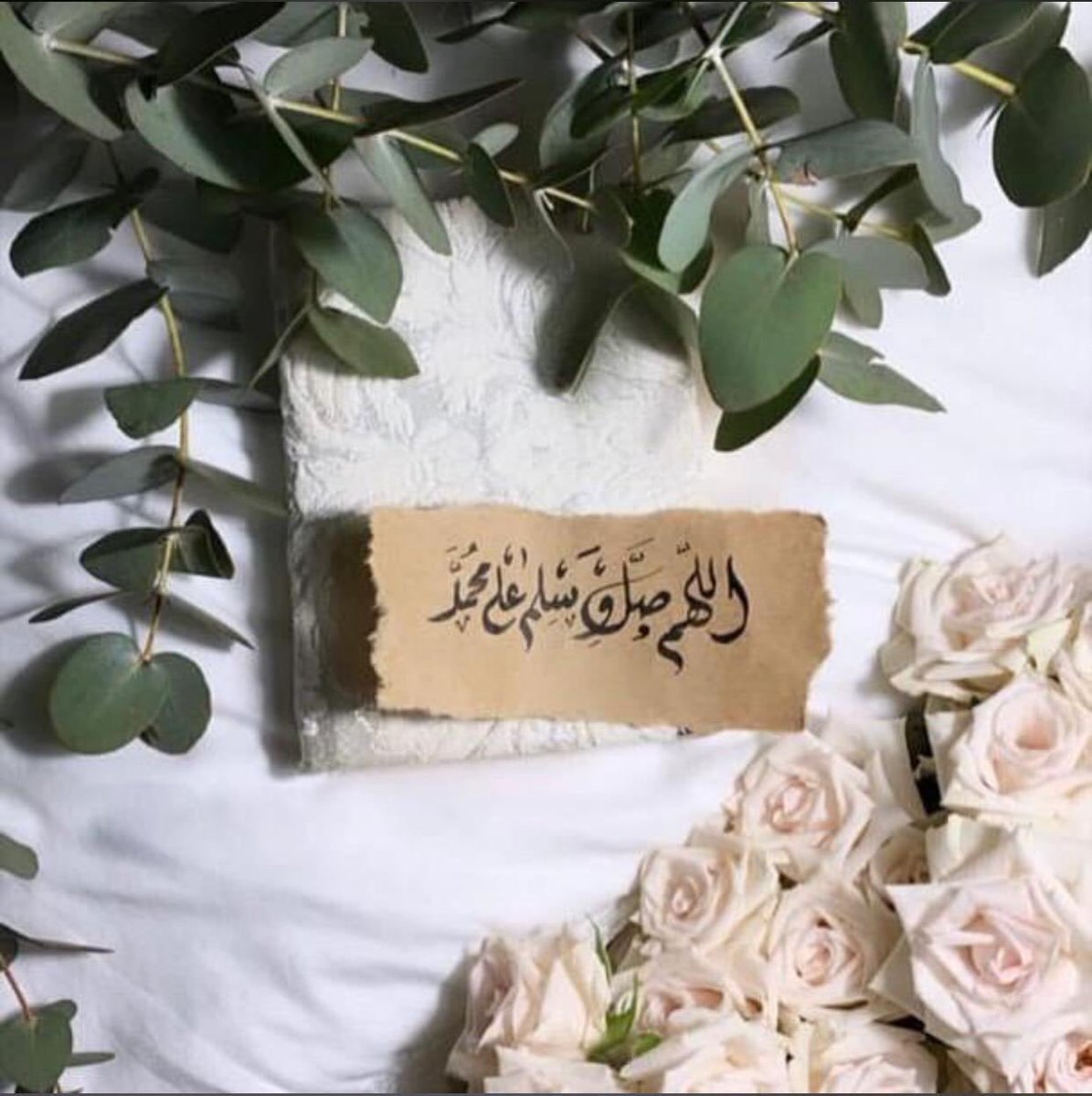 nasserfahed3's tweet photo. لزارعي الأمل.. 
وناشري السعادة،،
المبتسمين دائما،،
رغم مشقات الحياة،،
الصباح برفقتكم رحلة،، 
    ……جميلة……🌺🍃

   صباح الخير 🌹🤍 https://t.co/JTTPwhIjGo
